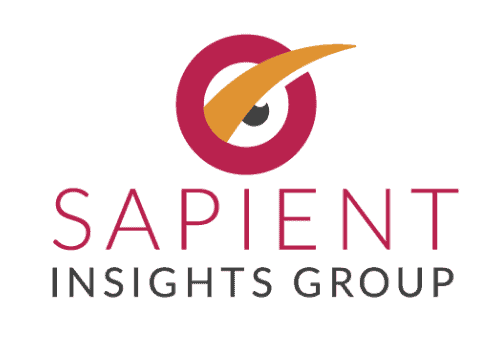 Advanced analytics and business insights by Sapient Insights Group for data-driven decision making and strategic growth.